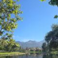 At the Heart of Family and Business in Rancho Santa Margarita
